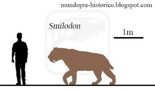 Smilodon