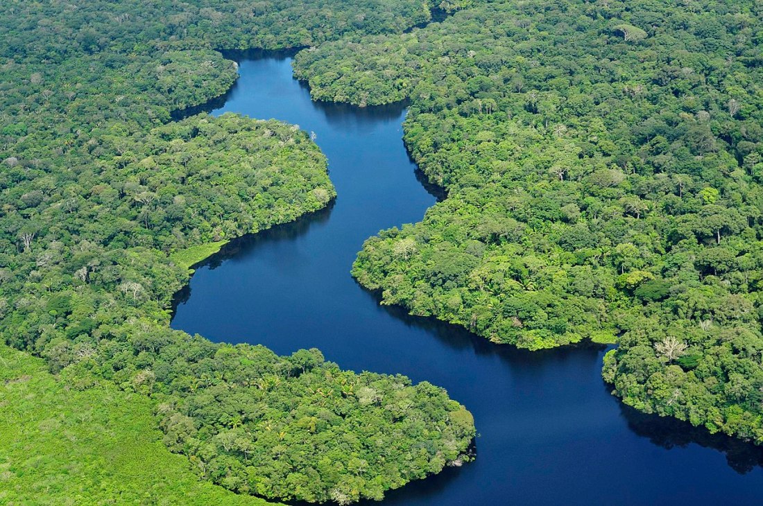 amazonia